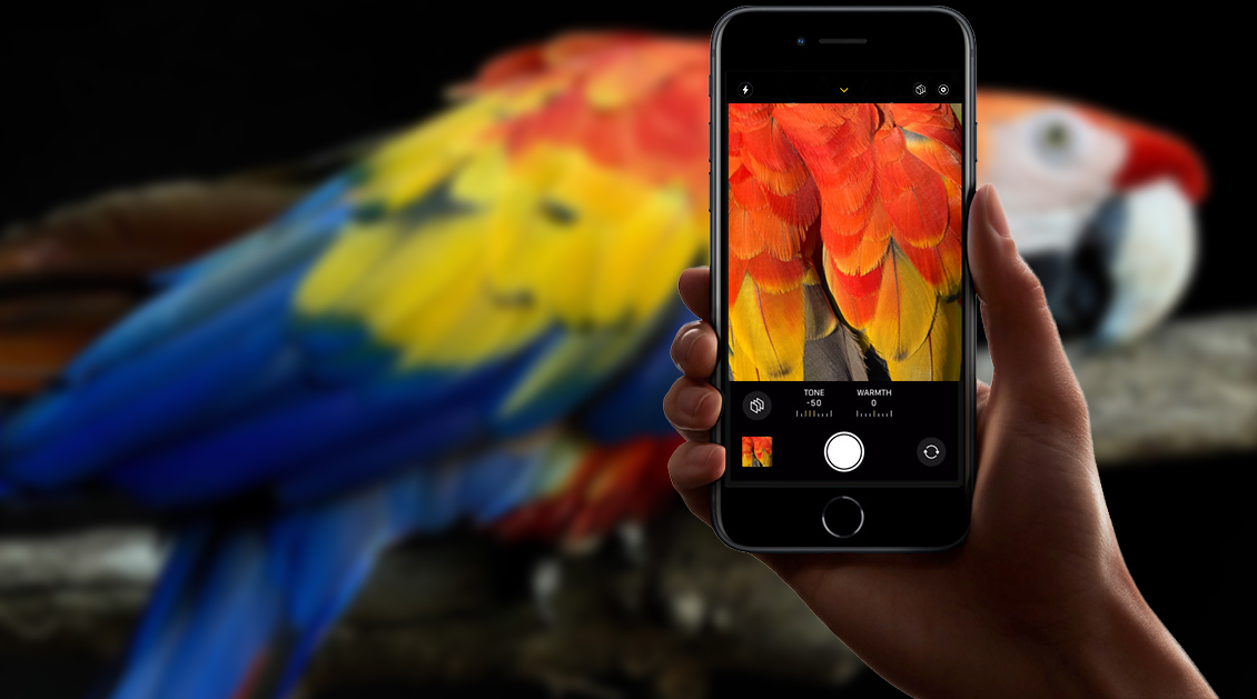 Смартфон Apple iPhone SE 2022 64 ГБ красный (2sim) Смартфон Apple iPhone SE 2022 64 ГБ красный (2sim) - 2