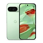 Смартфон Google Pixel 9 12/128 ГБ зелёный (1sim + eSim)