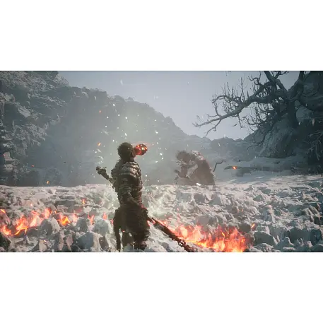 Игра для PS5 Black Myth: Wukong Deluxe Edition - 4