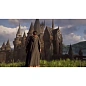 Игра для PS5 Hogwarts Legacy (оформление на учётную запись) - 7